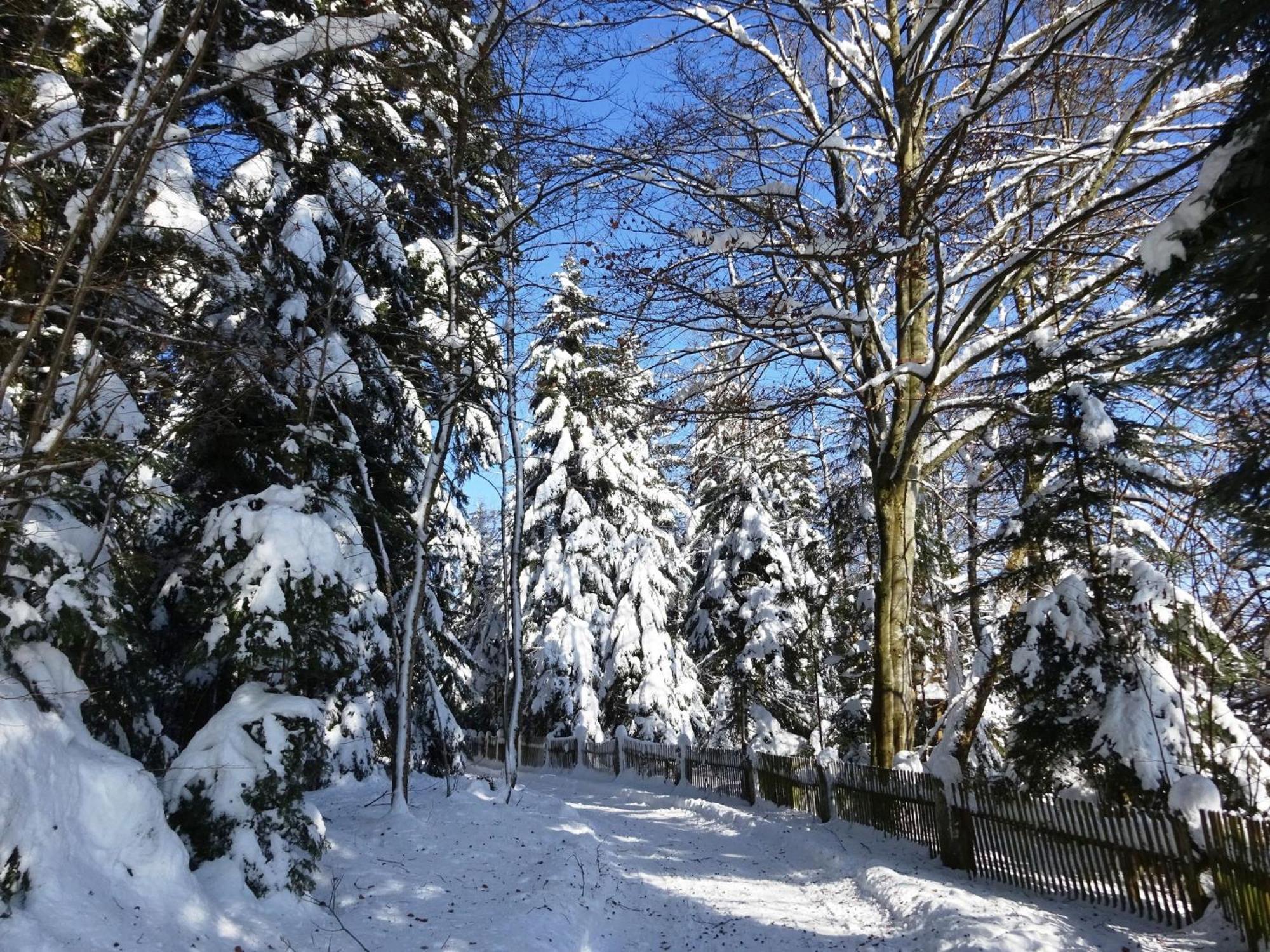 Holiday Home In Lossburg Near The Ski Area エクステリア 写真