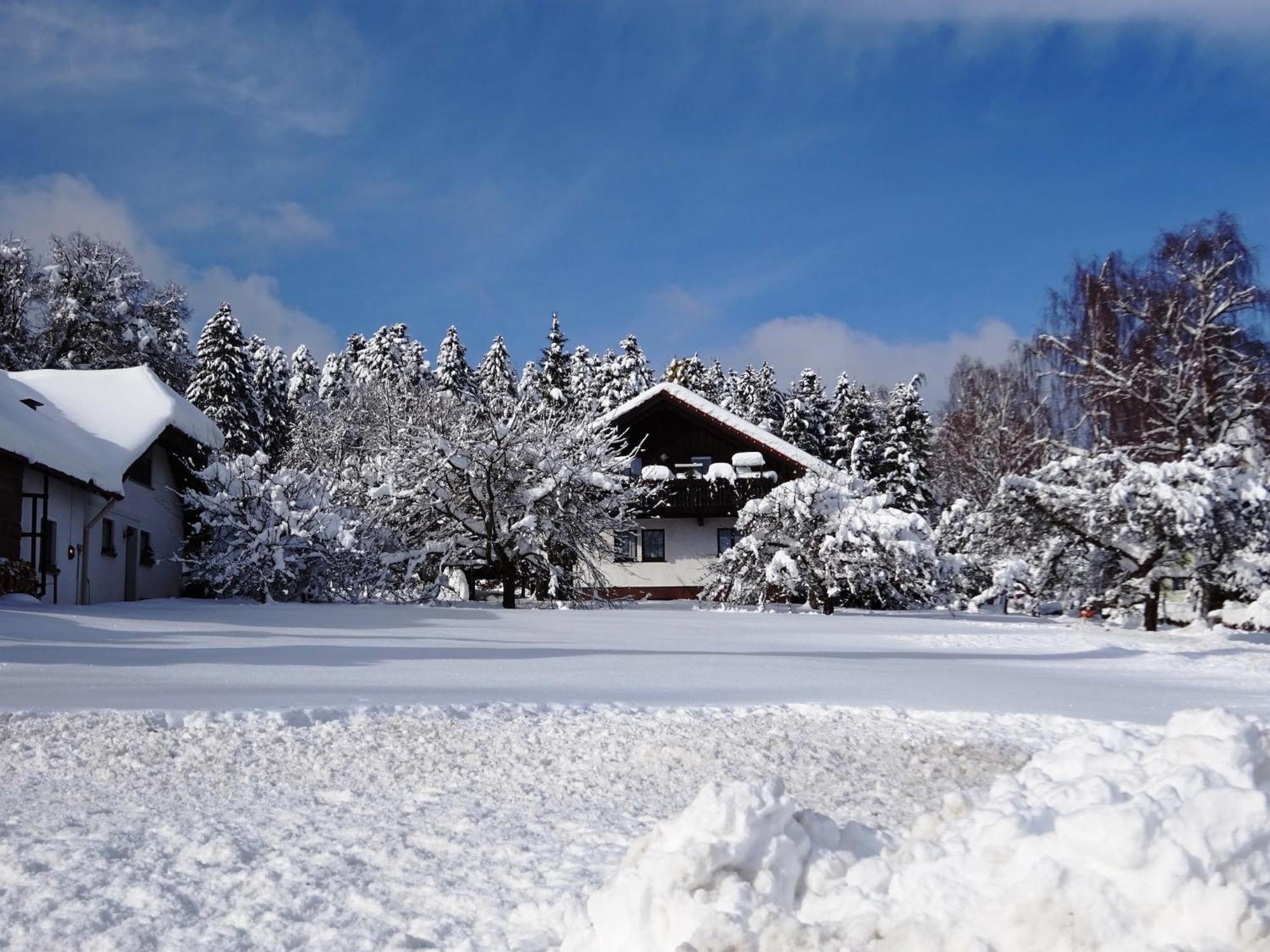 Holiday Home In Lossburg Near The Ski Area エクステリア 写真
